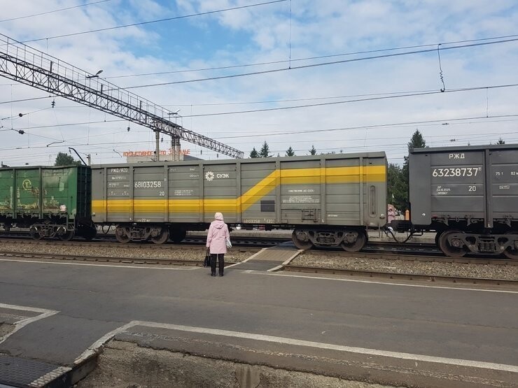 Шадринская пенсионерка остановила грузовой поезд, чтобы добраться с дачи до города