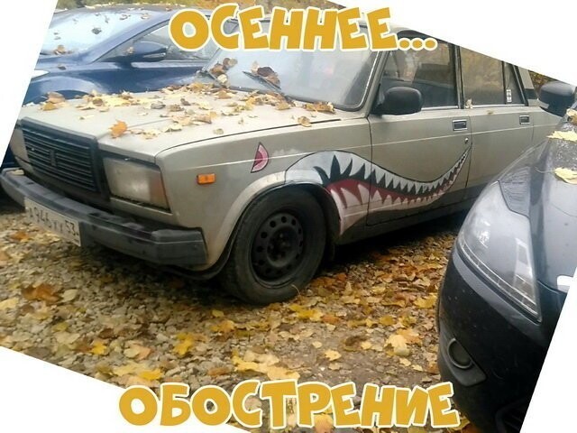 Автовсячина