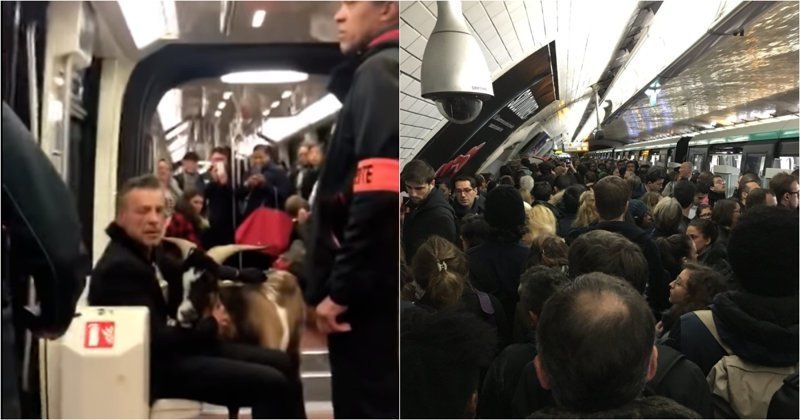 Парижский поезд метро остановили из-за пассажира с козой