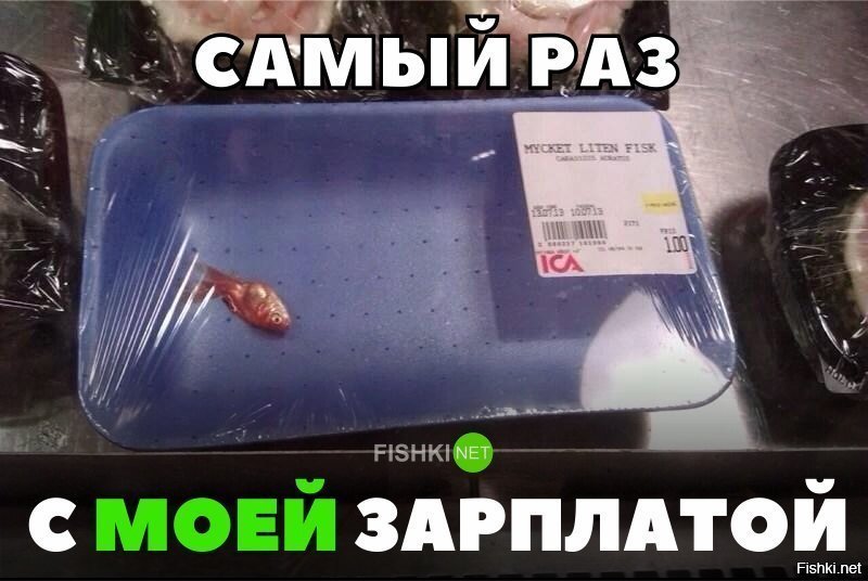 В самый раз для моей зарплаты