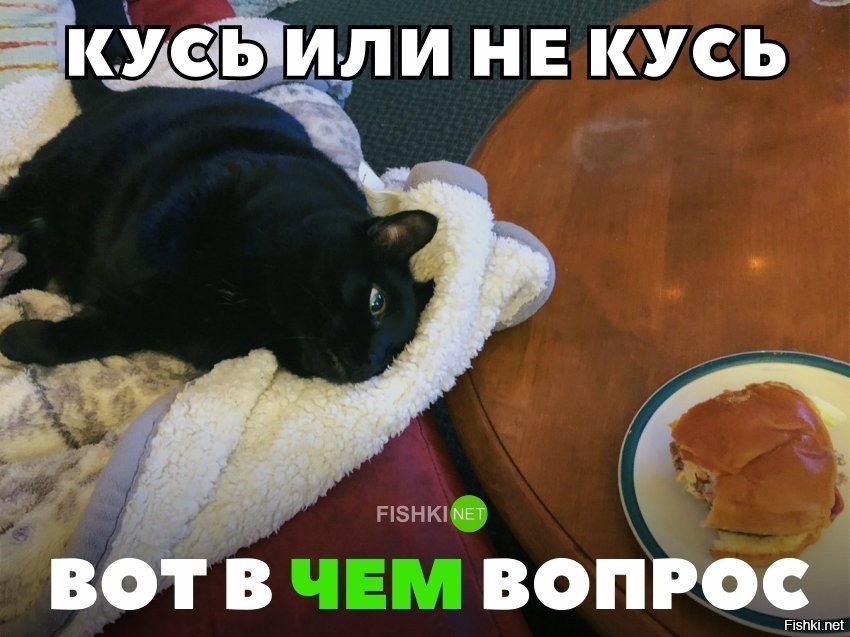 Кусь или не кусь