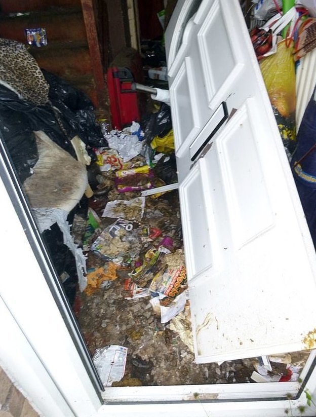 Британской кошатнице запретили пожизненно держать животных, после того как вскрыли ее квартиру
