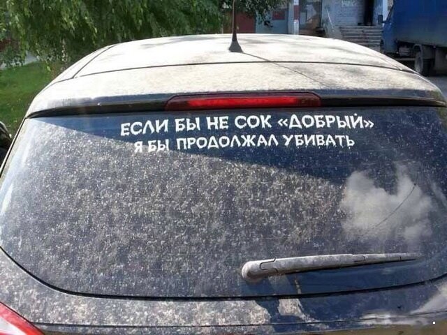 Автовсячина