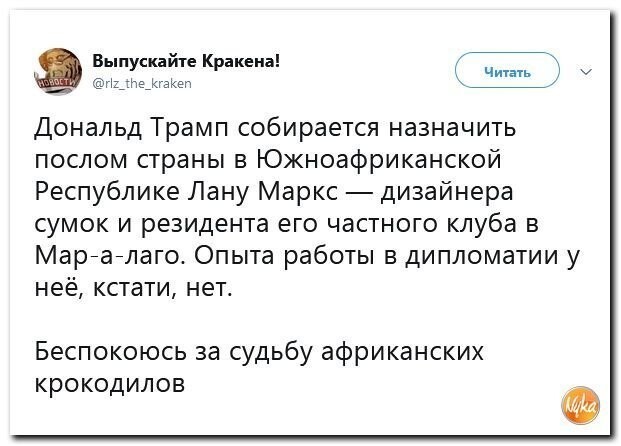 Политические коментарии соцстей - 643
