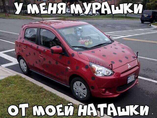 Автовсячина