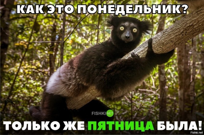 Как это понедельник?