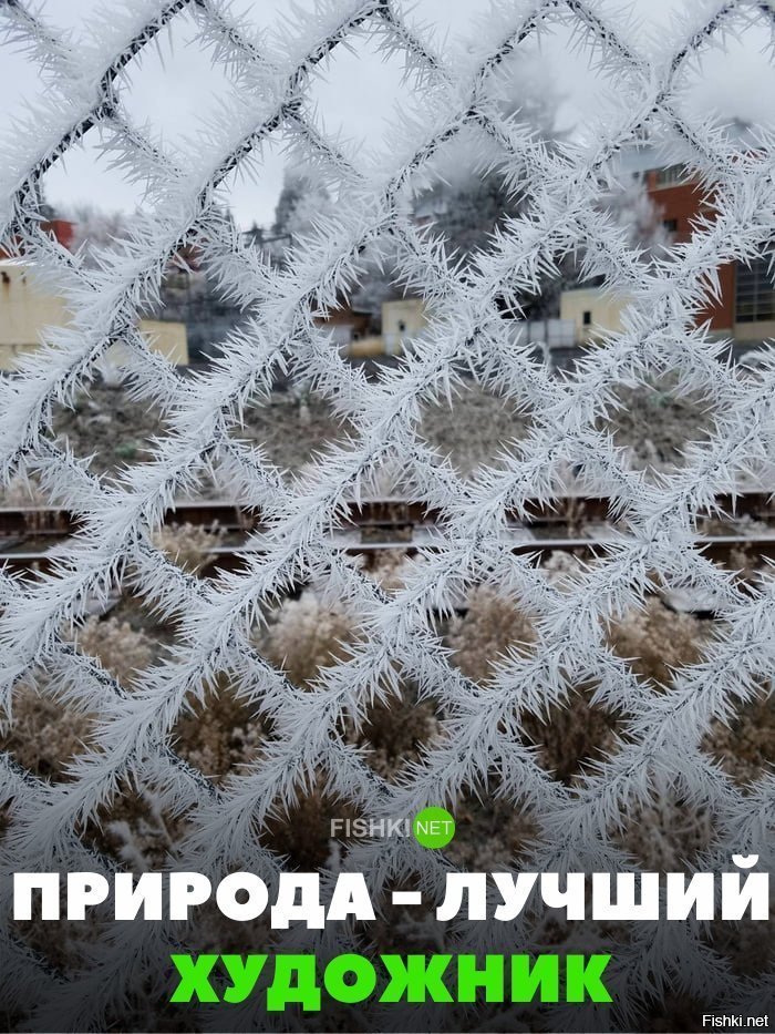 Природа - лучший художник