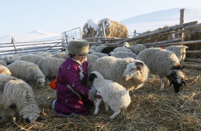 Фотографии о жизни сибиряков: как живут и отдыхают люди на Крайнем Севере