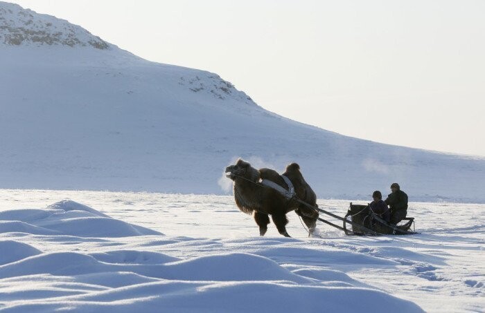 Фотографии о жизни сибиряков: как живут и отдыхают люди на Крайнем Севере