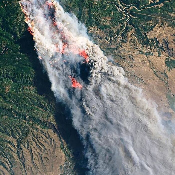 33. Лесной пожар в Северной Калифорнии, США