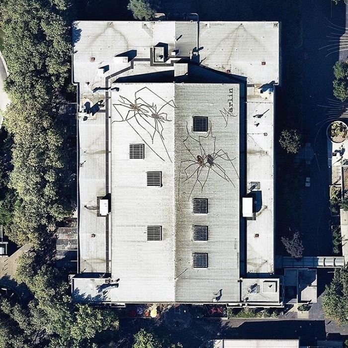 11. 3-D изображения пауков на крыше оружейного склада Сиэтлского Центра, Вашингтон, США