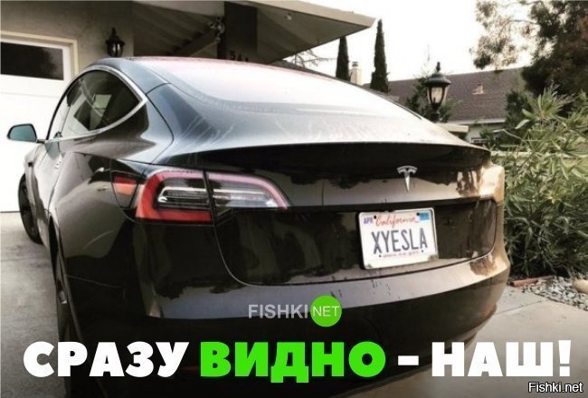 Сразу видно - наш!