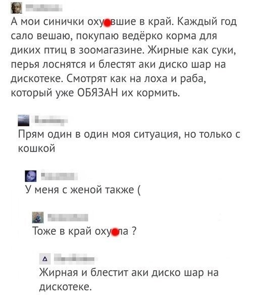 Прикольные и смешные картинки