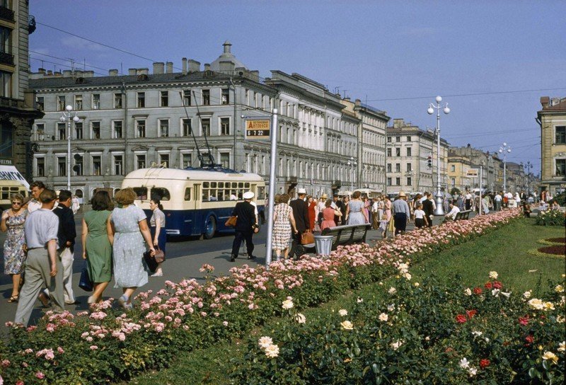 Ленинград, лето 1959 г.