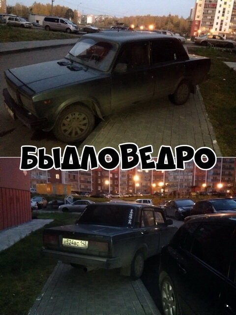 Автовсячина