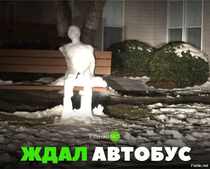 Ждал автобус