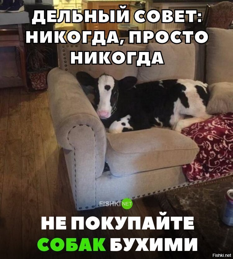НЕ покупайте собаку бухим