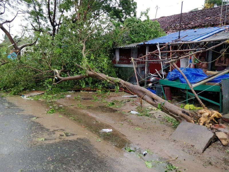 Пока буря бушевала, семья Виджаи оставалась в отдельном доме неподалеку и выжила, а на хижину, где была девочка, упало дерево. Тело Виджаи было найдено на следующий день
