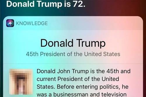 Siri сравнила Дональда Трампа с детородным органом
