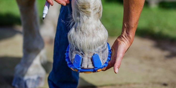 12. Обувка для лошадей, которая бережёт суставы животного. Она заменяет собой стальные подковы и её легко снять