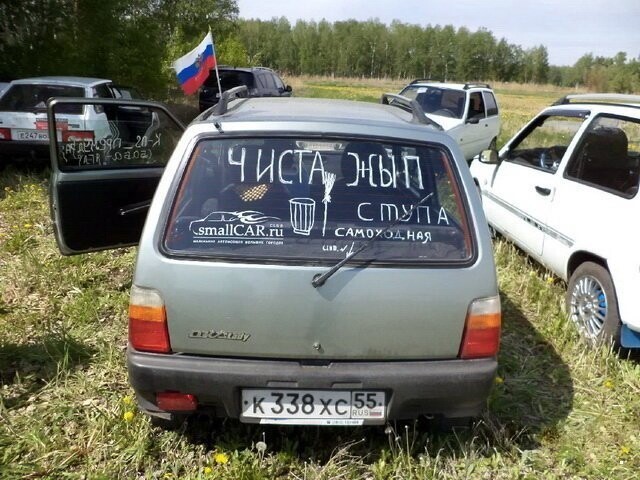 Автовсячина