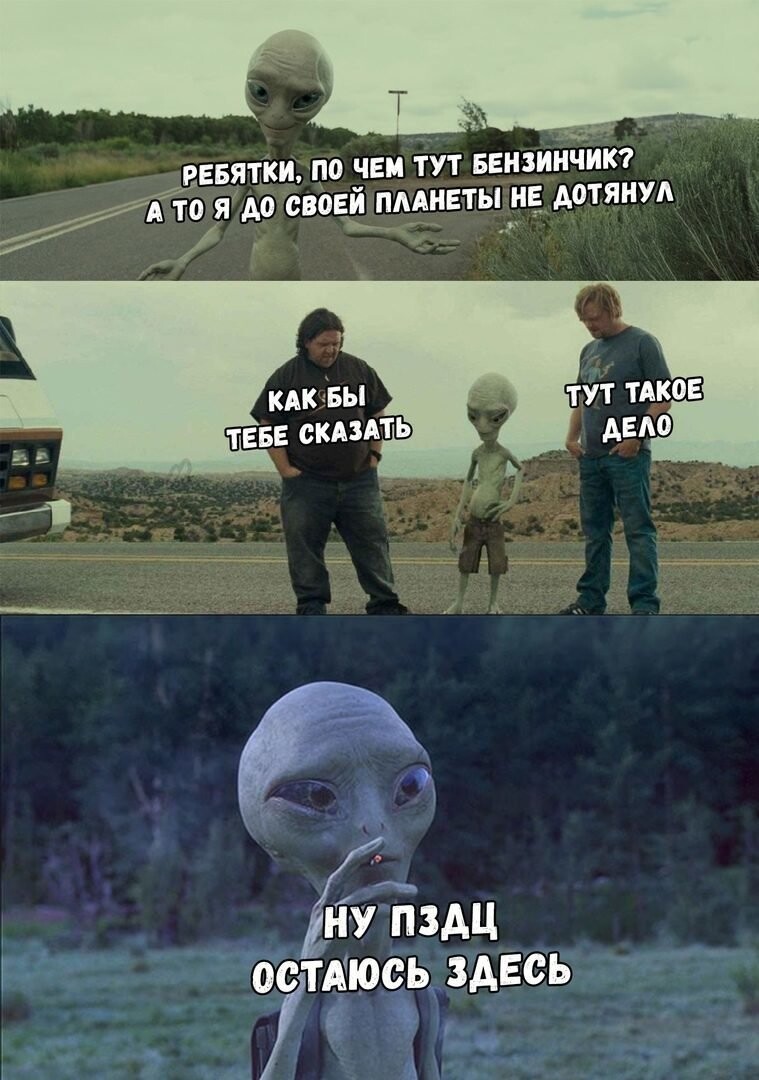 Прикольные и смешные картинки