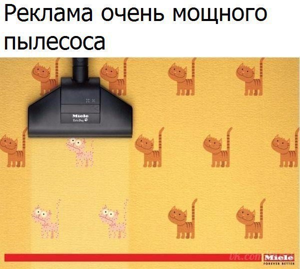 Прикольные и смешные картинки