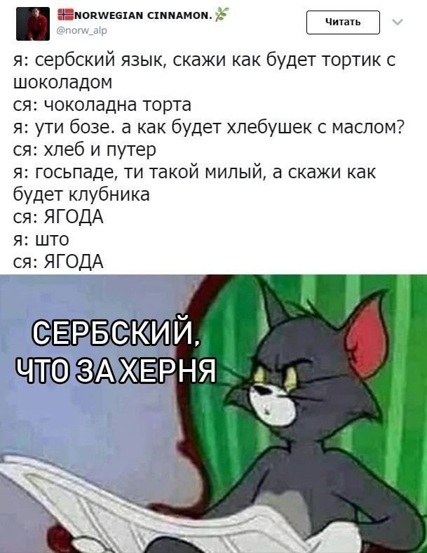 Прикольные и смешные картинки