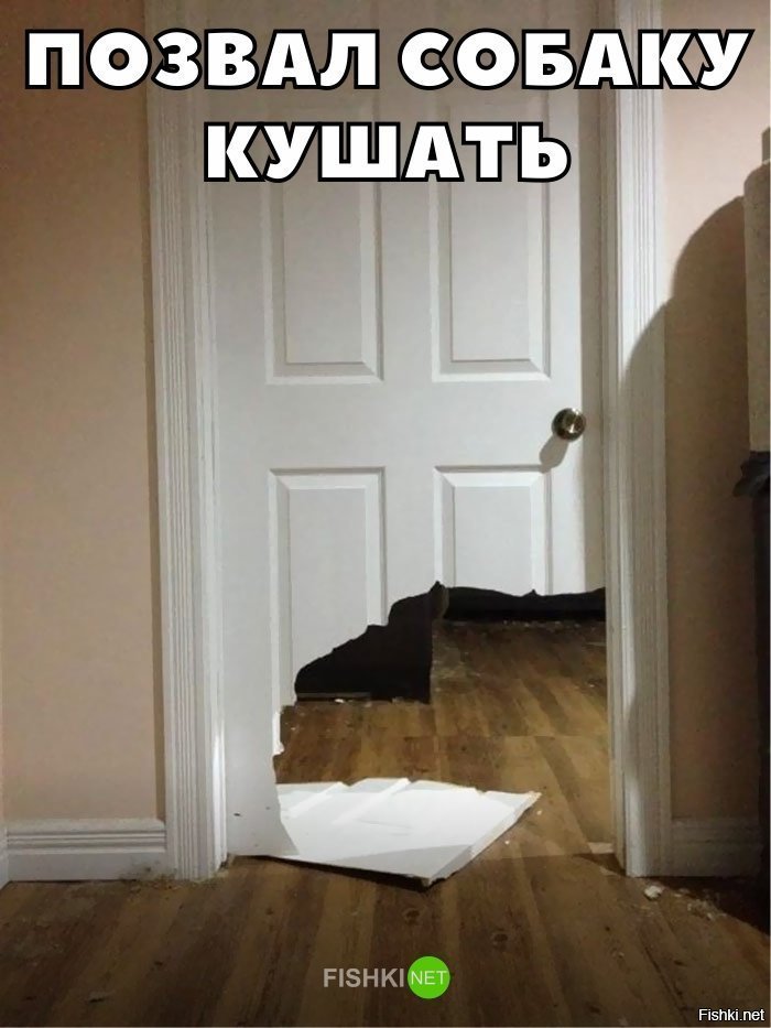 Позвал собаку кушать