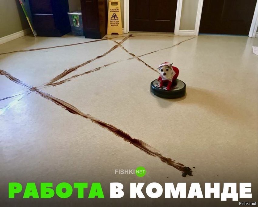 Работа в команде