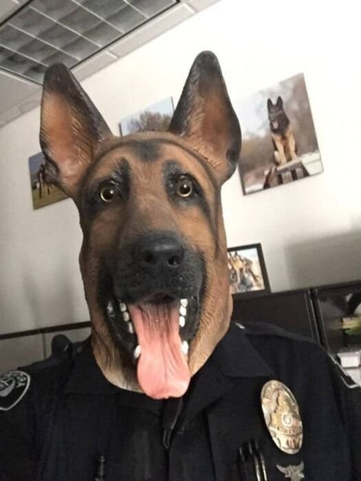 K9