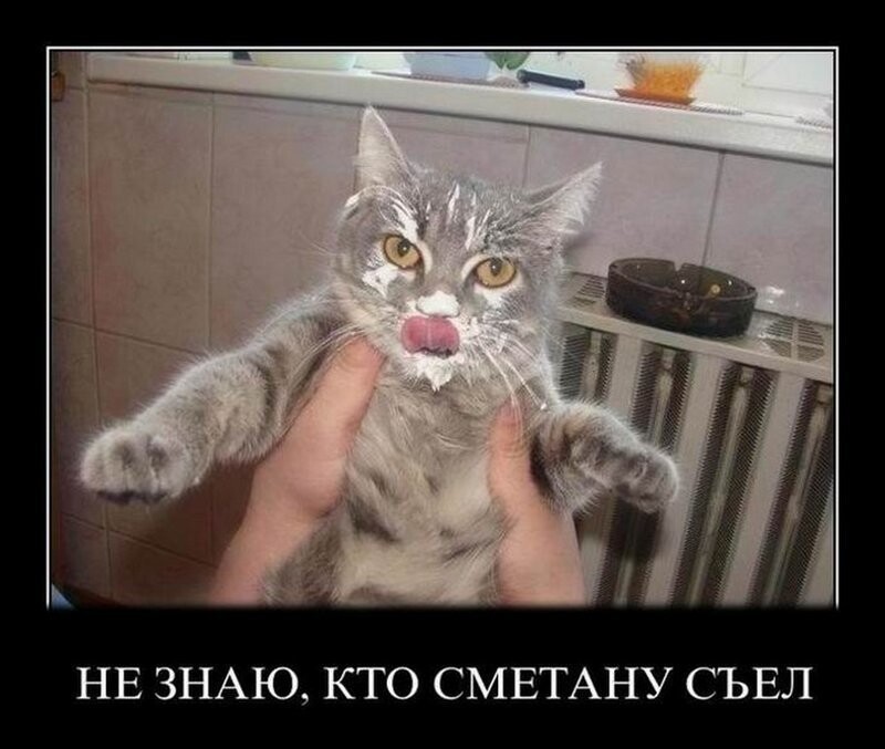Подборка прикольных демотиваторов