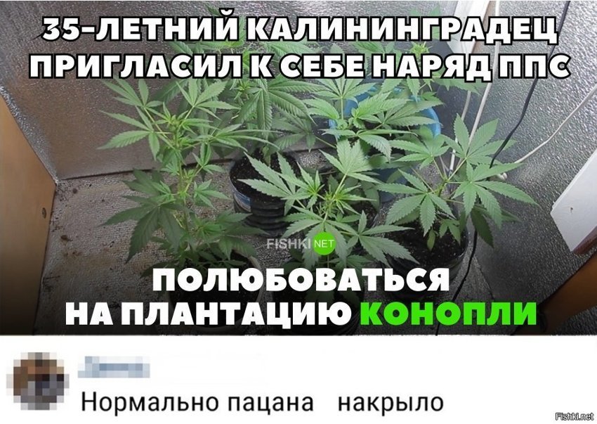 Нормально пацана накрыло