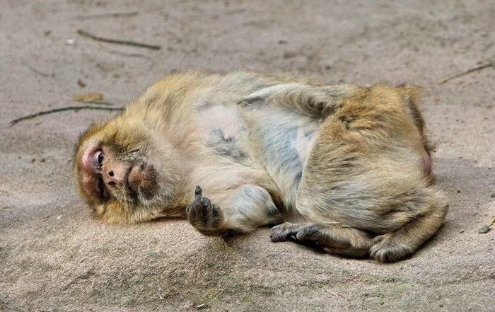 Галерейка фотоприколов