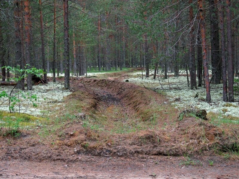 Зачердынье. Часть 2: Ныробский тракт