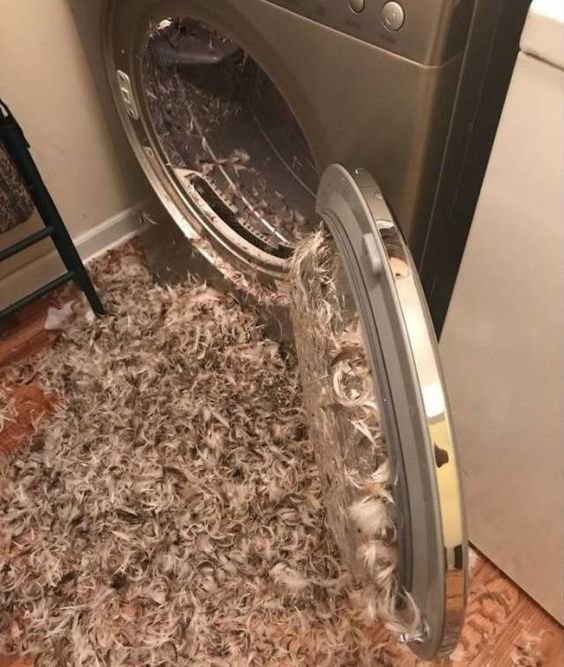 А вы издеваетесь над своей стиральной машинкой?