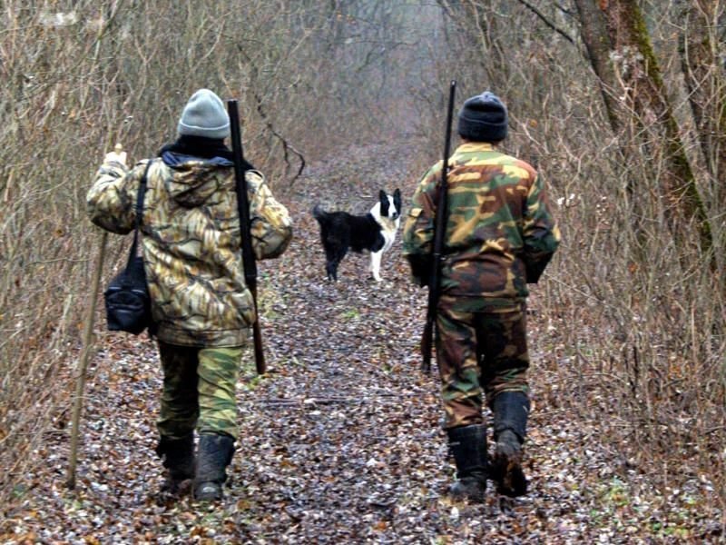 На Среднем Урале погибло пятеро охотников с начала сезона охоты