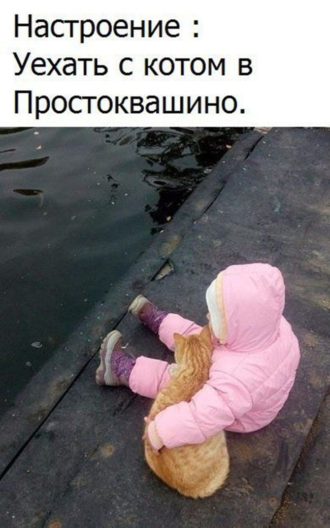 Котопост