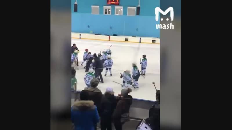 В Башкирии детский хоккейный матч закончился массовой дракой 