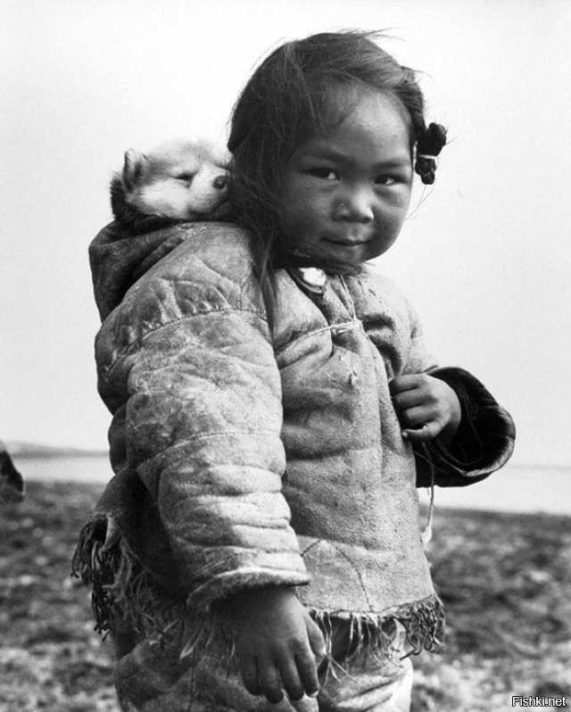 Девочка-инуитка с щенком хаски, 1949 год