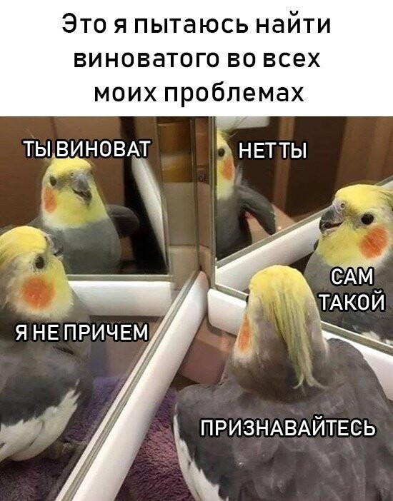 Намешалось