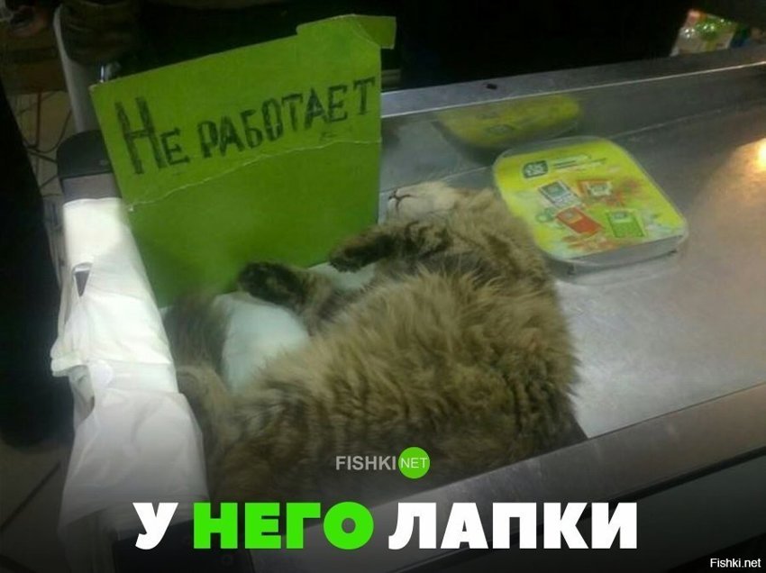 У него лапки