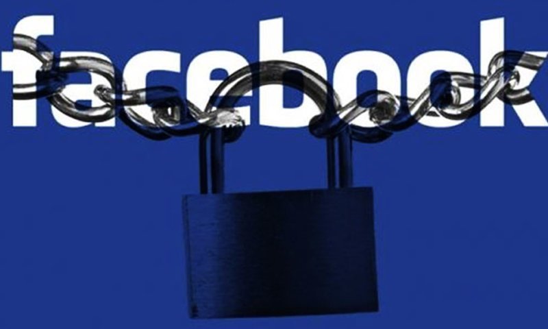 Цензура на «Facebook»: девушку забанили за помощь домашним животным