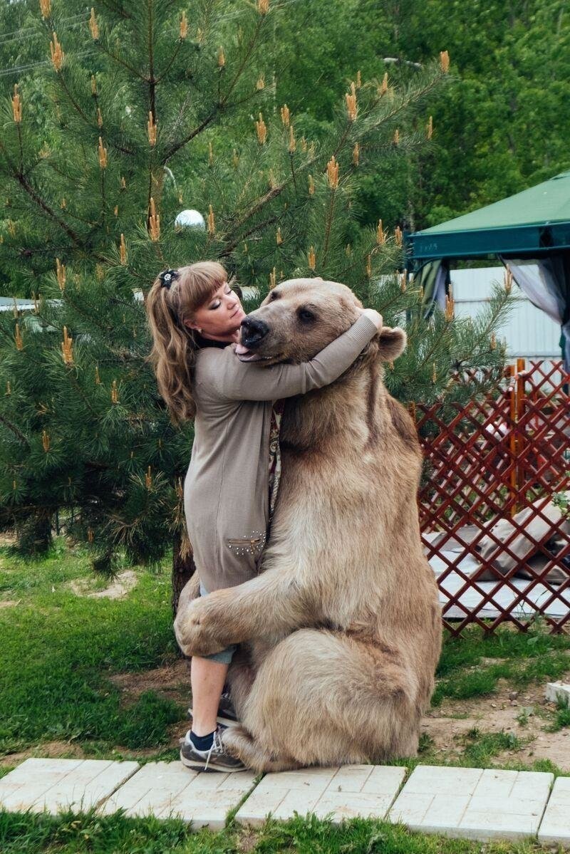 В русской семье вот уже 20 лет живет медведь Степан