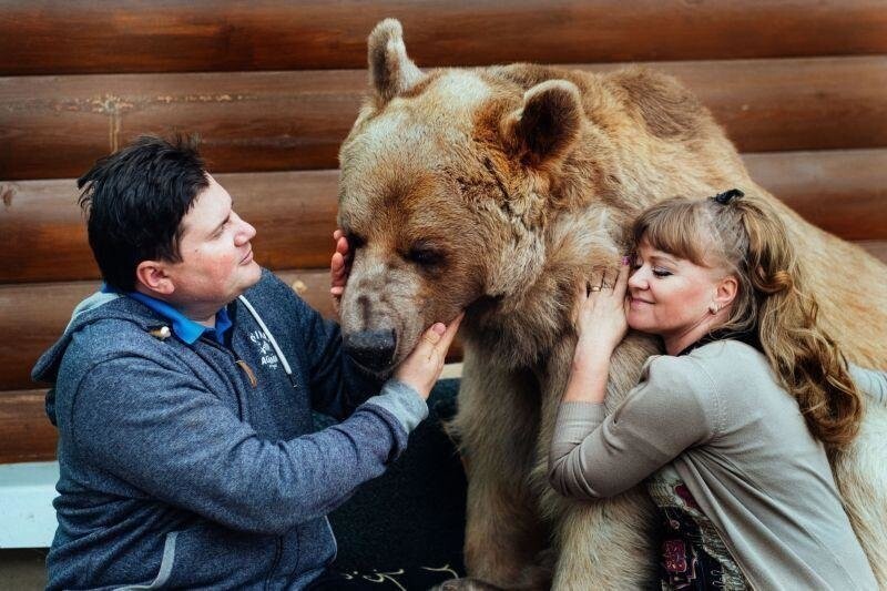 В русской семье вот уже 20 лет живет медведь Степан