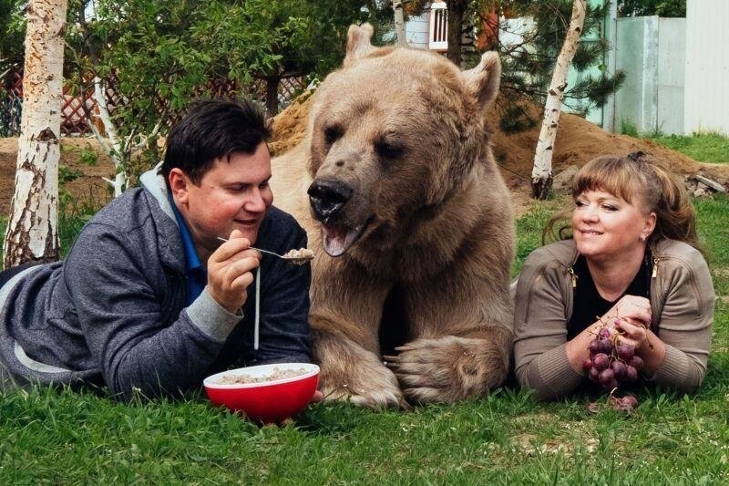 В русской семье вот уже 20 лет живет медведь Степан