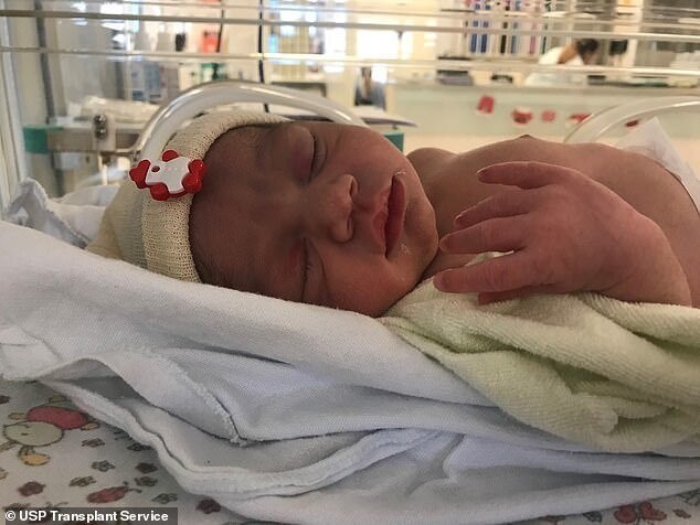 В Бразилии родился ребенок из донорской матки умершей женщины