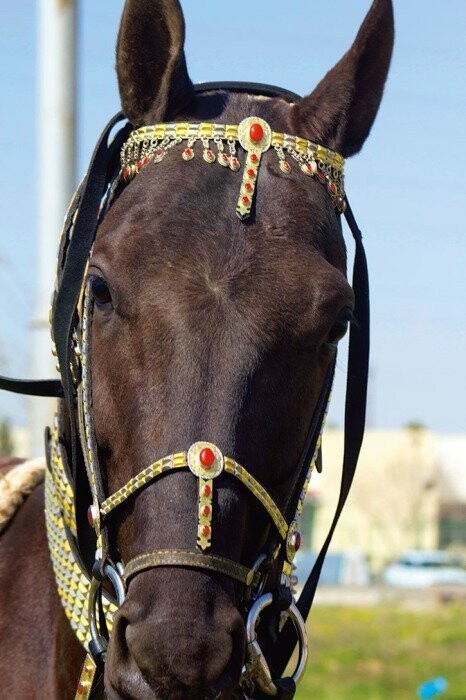 Загадка Древнего Востока: как туркменские украшения для женщин и лошадей покорили весь мир