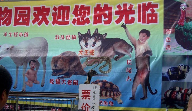 Шоу с самыми редкими животными! Китайские рекламщики идут на все для привлечения аудитории.