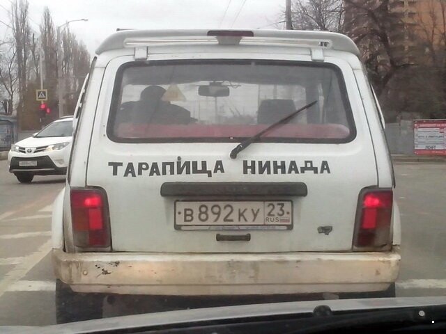 Автовсячина